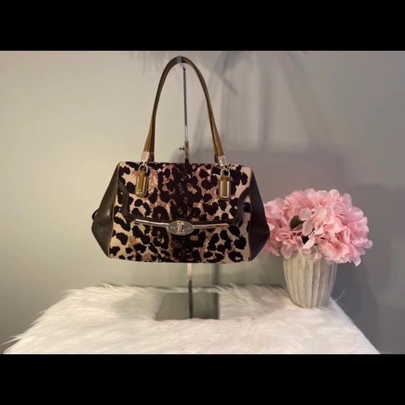🐆Beautiful 3PC Coach Set 🐆 - Picture 8 of 17